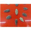 Image 7 : 36 Arrowheads & 4 Bear Claws - Framed in Nice Display 17"x 27" 