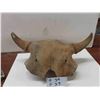 Image 1 : Buffalo Skull - 20" Horn Spread