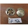 Image 1 : 2 Vintage Badges ; Special Police, State Ranger