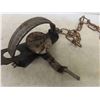 Image 2 : 5 Leg Traps