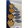 Image 2 : Canadian Military Insignia 100+ Badges , Patches & Rank 