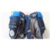 Image 2 : Winnpeg Jets Mathieu Perreault Game Worn Hockey Gloves with