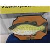 Image 2 : Singing Billy Bass, 10 Bass Fish Light Set, 2 Pictures of Fish