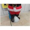 Image 4 : Santa Blow Mold