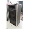 Image 2 : 2 Traynor CS-1012H 100Watt Speakers