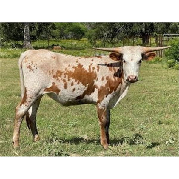 RVR Madeline Rose C3