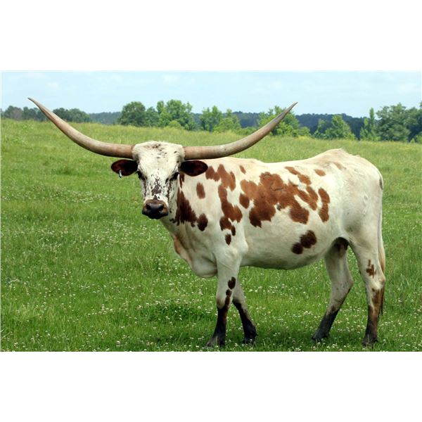 SH Freeway Primero 20/9