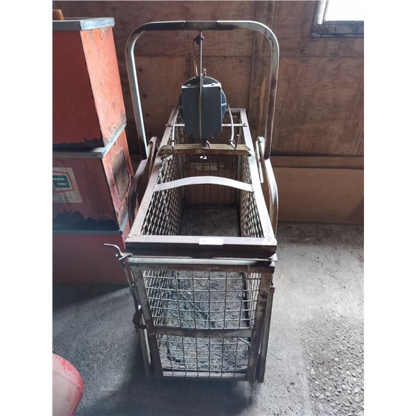 Detecto Livestock Scale