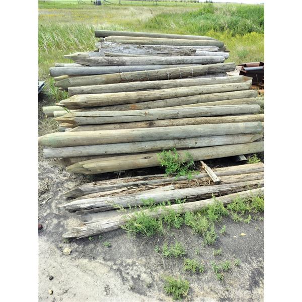 Large Pile of Wooden Ground Stakes