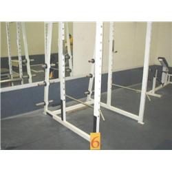 Flex Fitness Adjustable Squat Rack