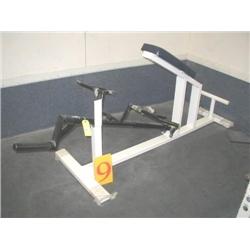 Serpa Supported Bent Over Row Machine