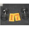 Image 1 : Pair of Dumbbells 95lb