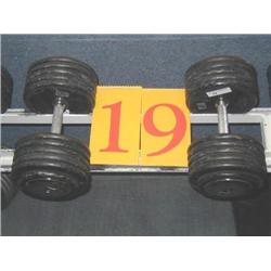 Pair of Dumbbells 115lb