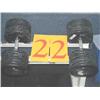 Image 1 : Pair of Dumbbells 145lb