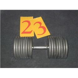 Single Dumbbell 160lb