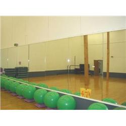 Ten Sections of Mirrors