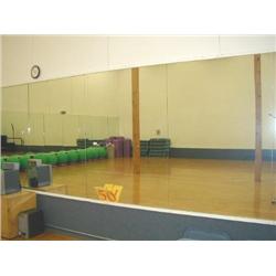 Ten Sections of Mirrors