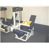 Image 1 : Paramount AP-2100 Leg Curl Machine
