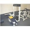 Image 1 : Paramount AP-4100 Horizontal Leg Curl Machine