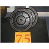 Image 1 : Pair of 100lb Plates