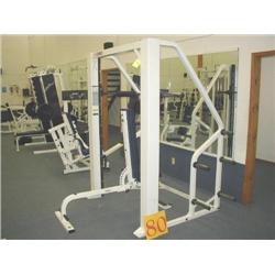 Cybex Smith Press w/ Fixed Bar