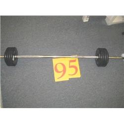 Fixed Straight Bar 100lb