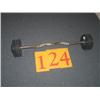 Image 1 : Fixed Curl Bar 100lb