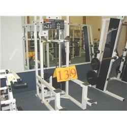 Paramount AP-4000 Chin & Dip Machine