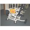 Image 1 : Flex Tricep Dip Machine