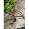 Image 2 : SM. CULTIVATOR