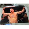Image 2 : UFC posters