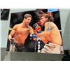 Image 3 : UFC posters