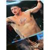 Image 8 : UFC posters