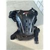 Image 1 : Chest protector