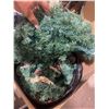 Image 1 : Green decor