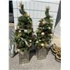 Image 1 : Porch trees