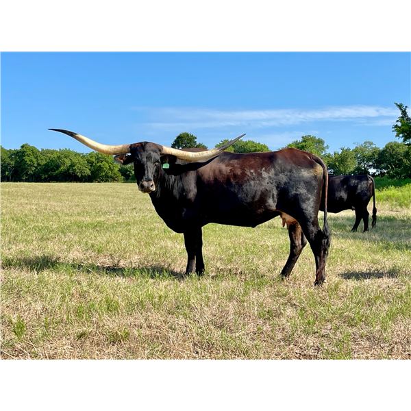 Bar R Peppermint Joy