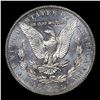 Image 3 : ***Auction Highlight*** 1902-p Morgan Dollar $1 Graded ms63 DMPL BY SEGS (fc)