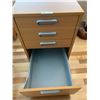 Image 6 : Rolling Wooden File Cabinet