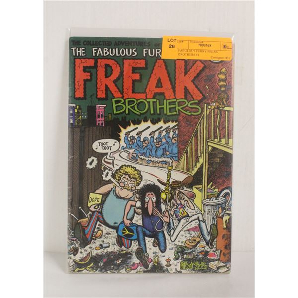 FABULOUS FURRY FREAK BROTHERS #1