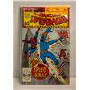 Image 1 : AMAZING SPIDER-MAN - ANNUAL #22