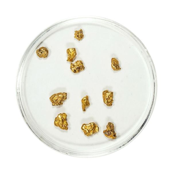 Lot of Gold Nuggets 2.31 Grams Total Weight