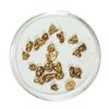 Image 1 : Gold Nuggets 3.26 Grams Total Weight