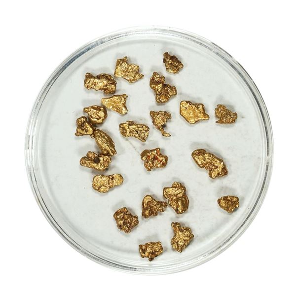 Gold Nuggets 3.35 Grams Total Weight