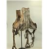 Image 4 : Blackfoot Woman's Saddle