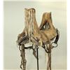 Image 5 : Blackfoot Woman's Saddle
