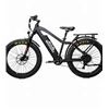 Image 1 : Bakcou Flatlander E-Bike in Matte Black