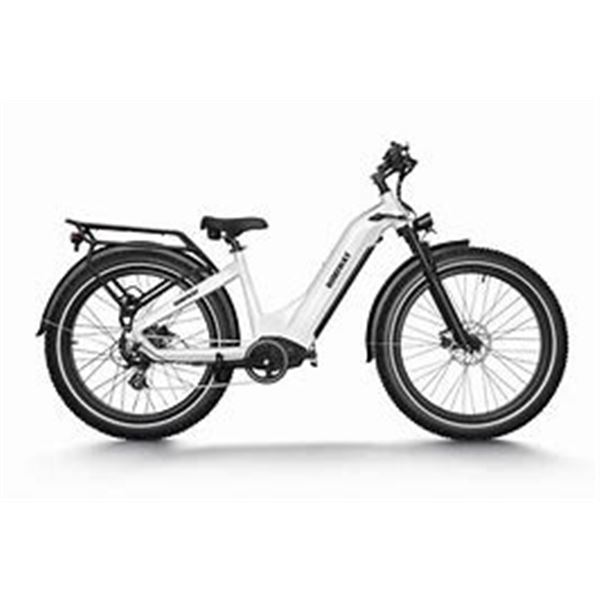 Premium All-terrain Electric Fat Bike Zebra Step Thru