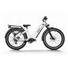 Image 1 : Premium All-terrain Electric Fat Bike Zebra Step Thru