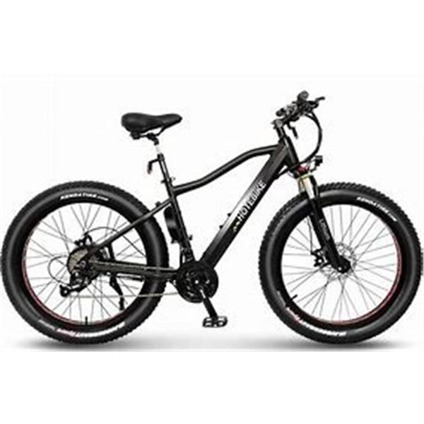 Long Range Fat Tire Electric Bike Cruiser
